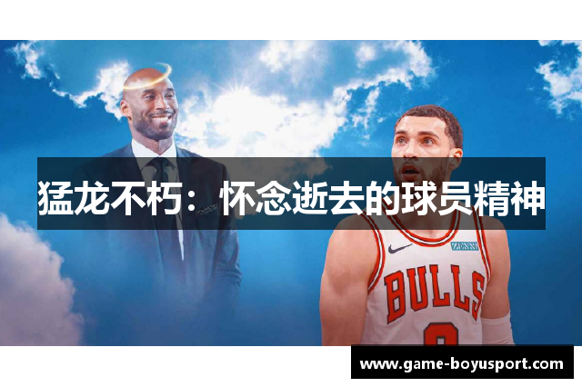 猛龙不朽：怀念逝去的球员精神